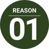 reason_reason_ttl-1